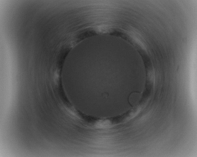 X0000115320271200911091203