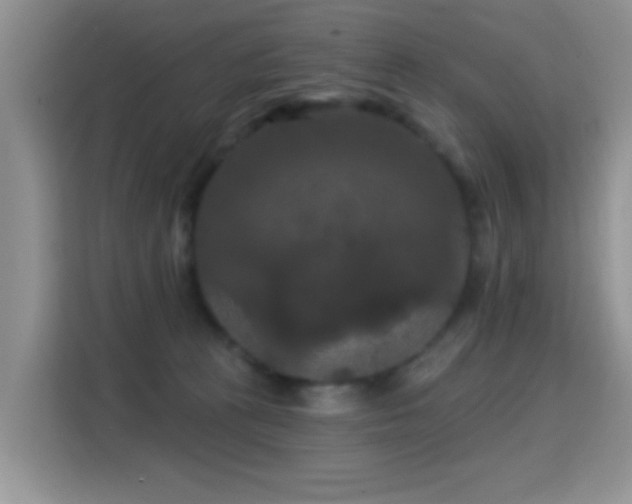 X0000115320273200911091203