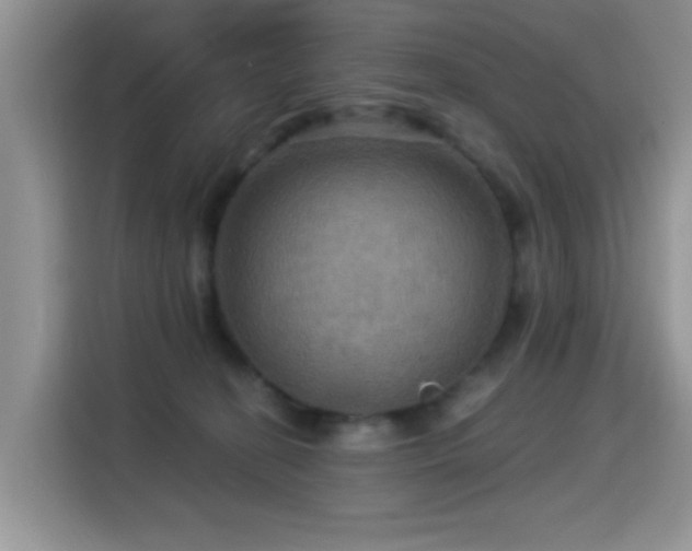 X0000115320274200911091203
