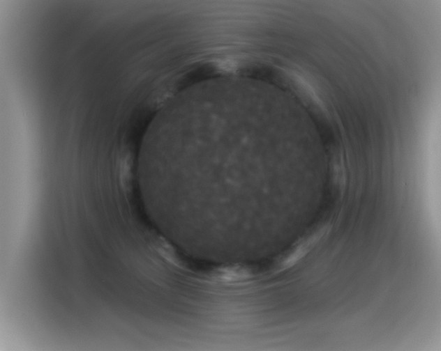 X0000115320275200911091203
