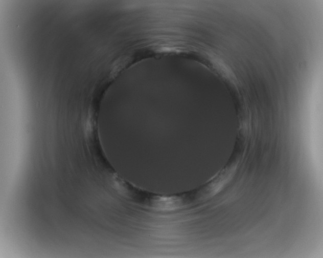 X0000115320277200911091203