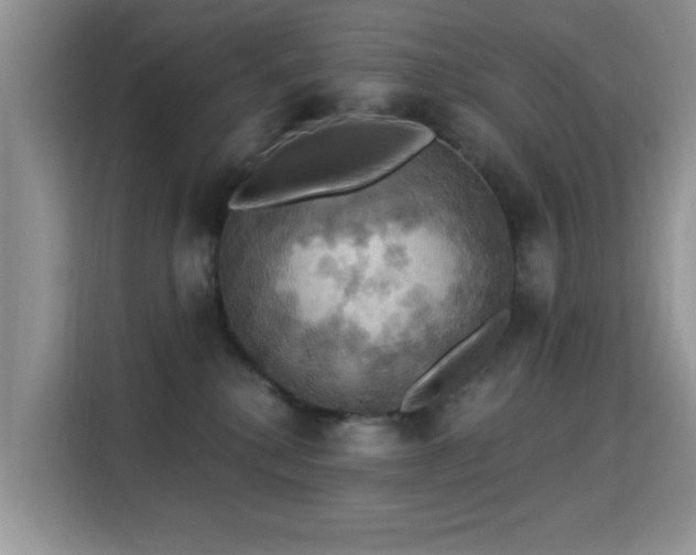 X0000115320280200911091203