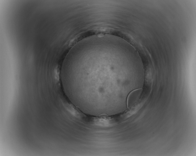 X0000115320282200911091203
