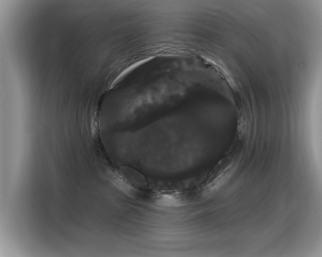 X0000115320285200911091203