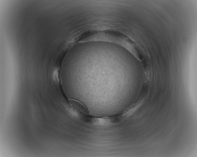 X0000115320286200911091203