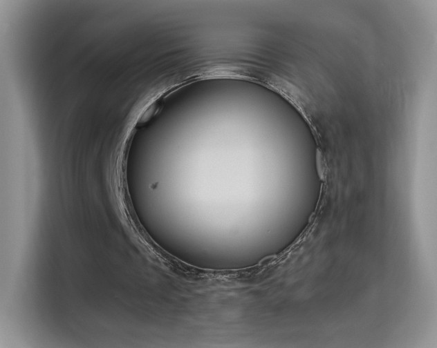 X0000115320289200911091203
