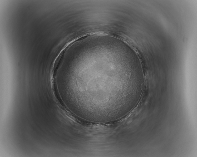 X0000115320290200911091203