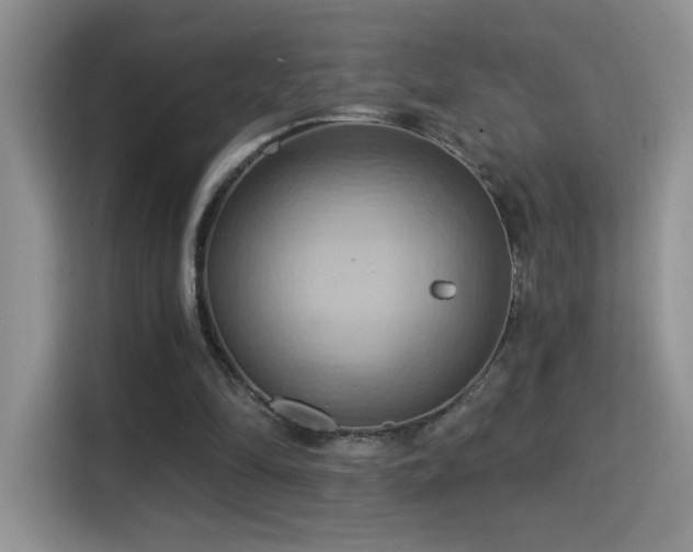 X0000115320294200911091203