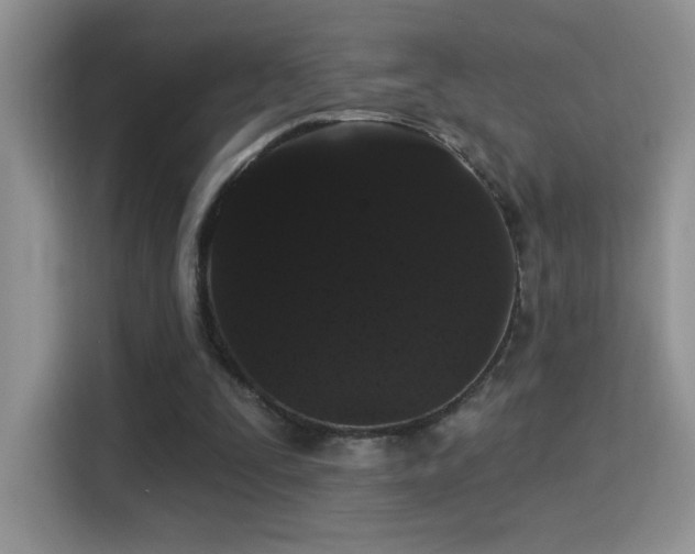 X0000115320295200911091203