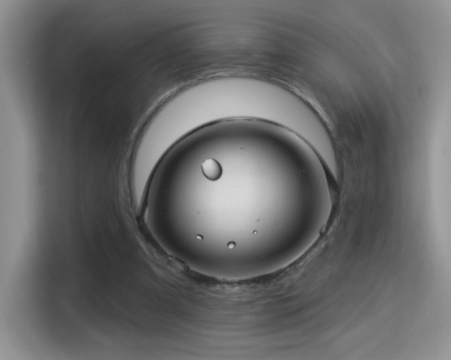 X0000115320297200911091203