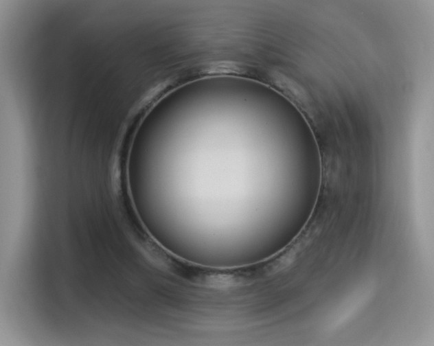 X0000115320298200911091203