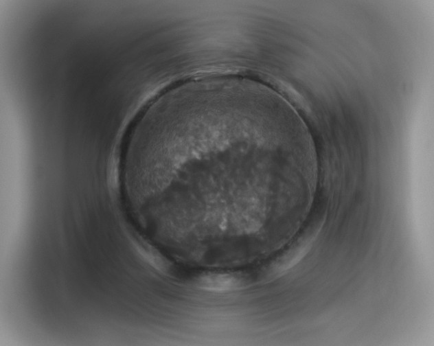 X0000115320299200911091203