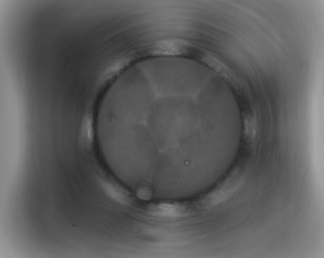 X0000115320302200911091202