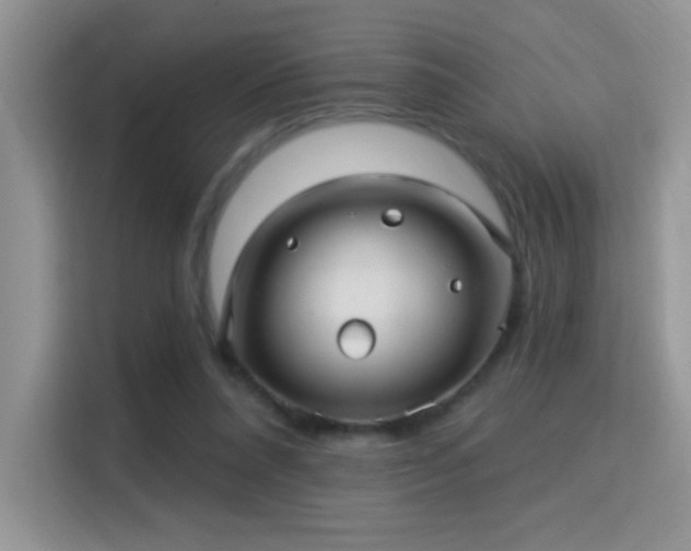 X0000115320304200911091202