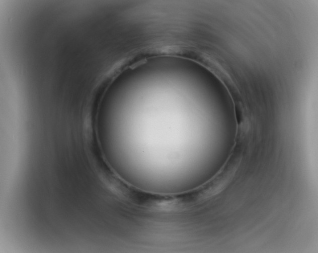 X0000115320306200911091202