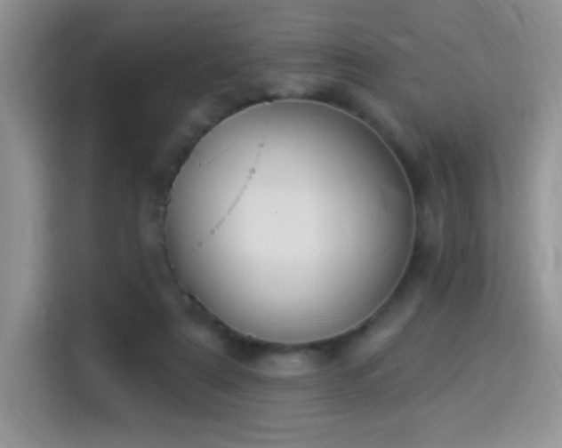 X0000115320307200911091202