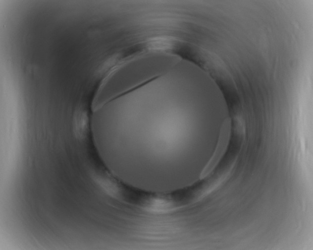 X0000115320308200911091202
