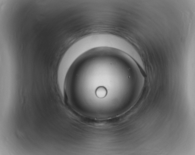 X0000115320309200911091202