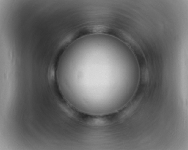 X0000115320310200911091202