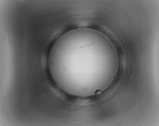 X0000115320311200911091202