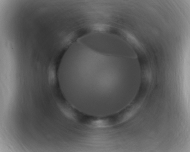 X0000115320312200911091202