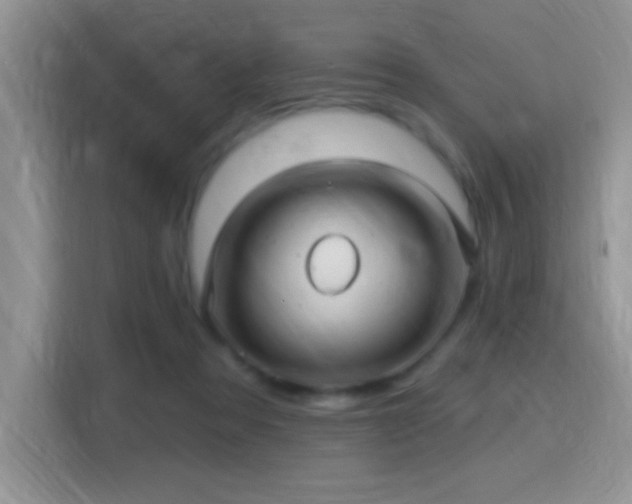 X0000115320313200911091202