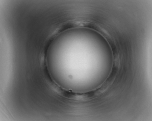 X0000115320314200911091202