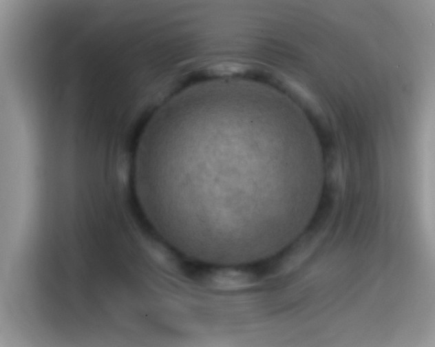 X0000115320315200911091202