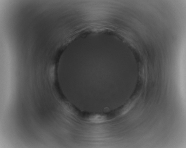 X0000115320319200911091202