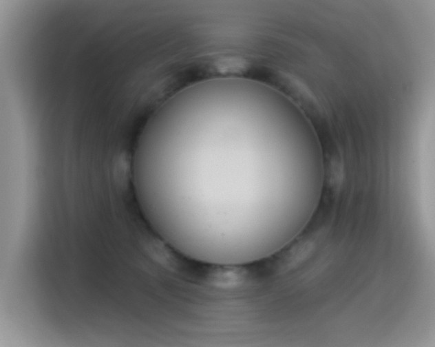 X0000115320321200911091202