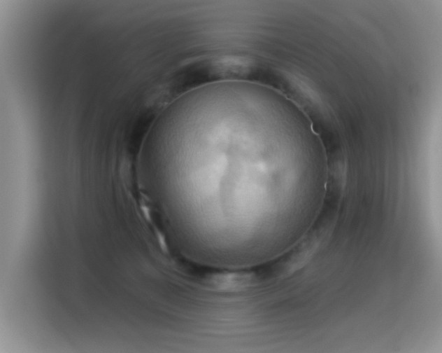 X0000115320323200911091202