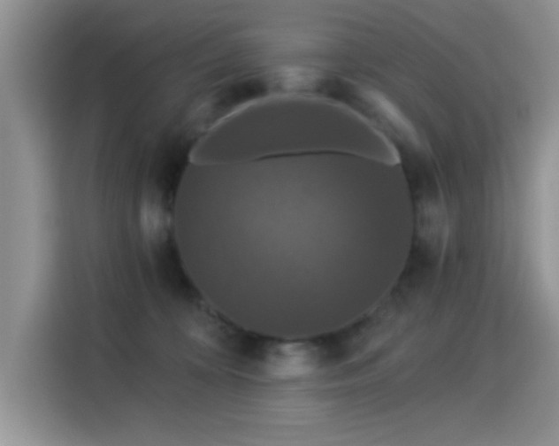 X0000115320324200911091202