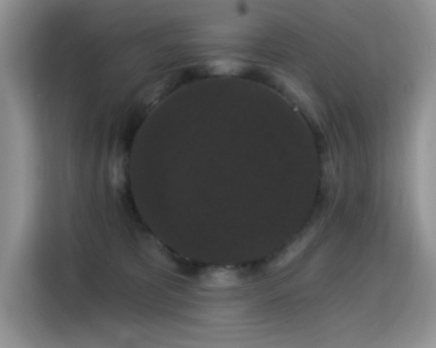 X0000115320325200911091202