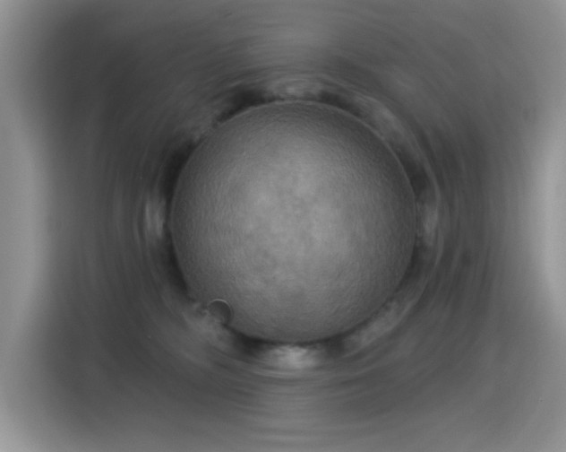 X0000115320326200911091202