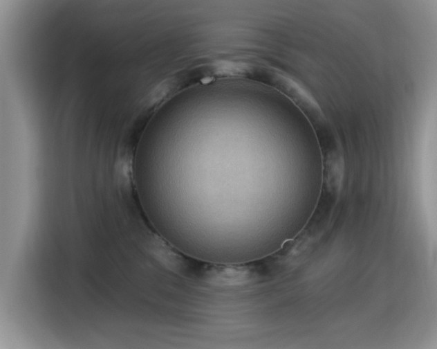 X0000115320329200911091202
