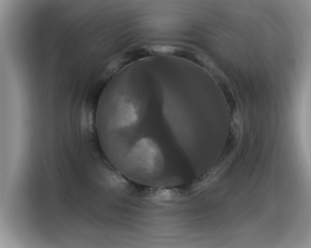 X0000115320330200911091202