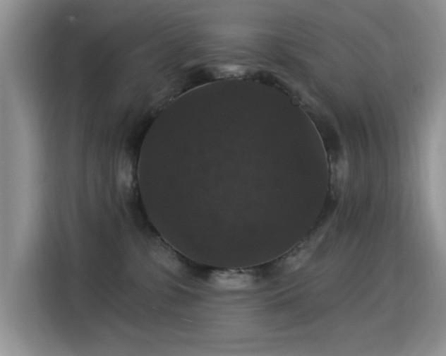 X0000115320331200911091202
