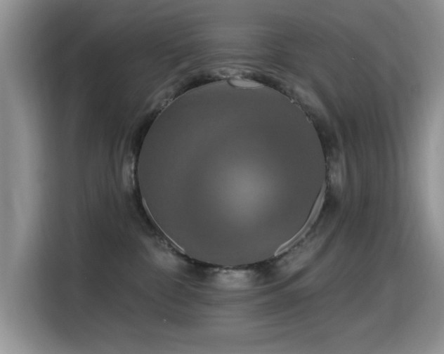 X0000115320332200911091202