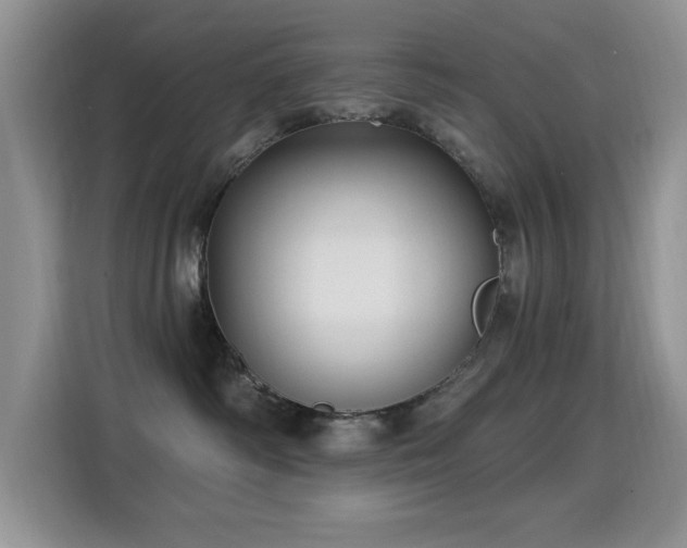X0000115320334200911091202