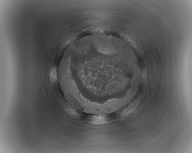 X0000115320335200911091202