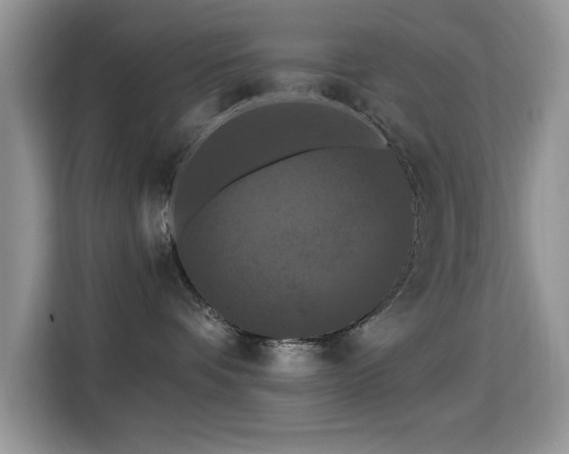 X0000115320336200911091202