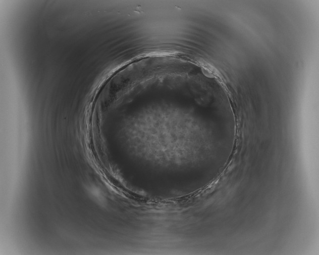 X0000115320337200911091201