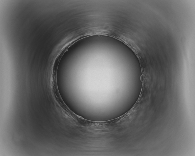 X0000115320338200911091201