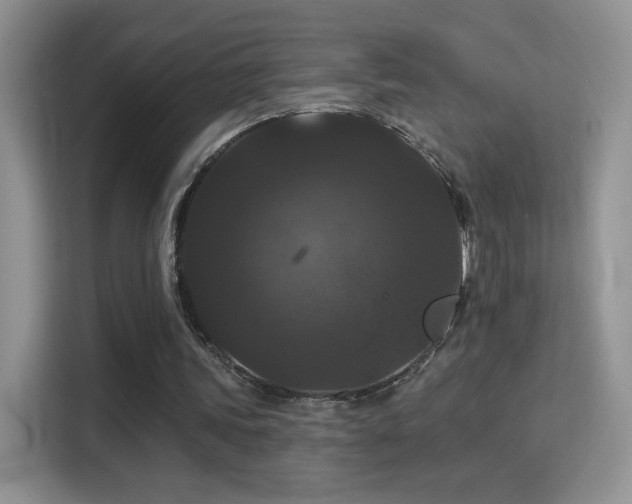 X0000115320339200911091201