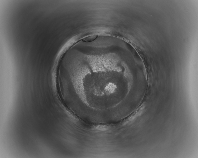 X0000115320341200911091201