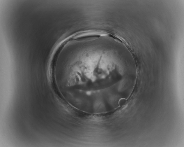 X0000115320343200911091201