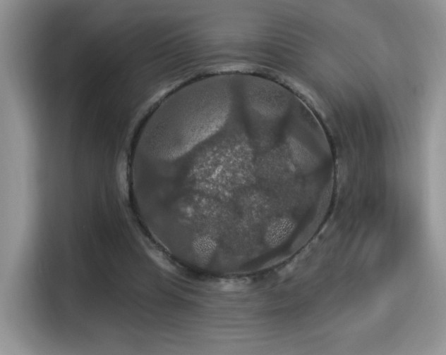X0000115320345200911091201