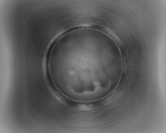 X0000115320346200911091201