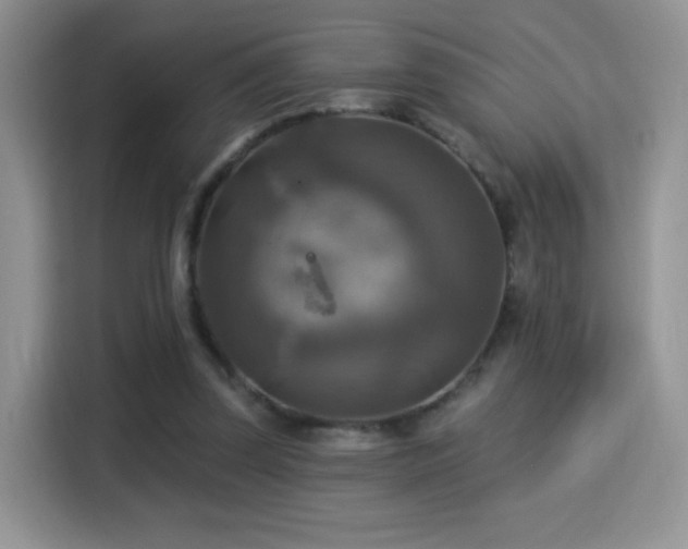X0000115320347200911091201