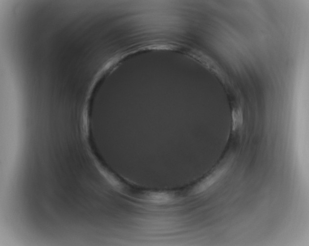 X0000115320349200911091201